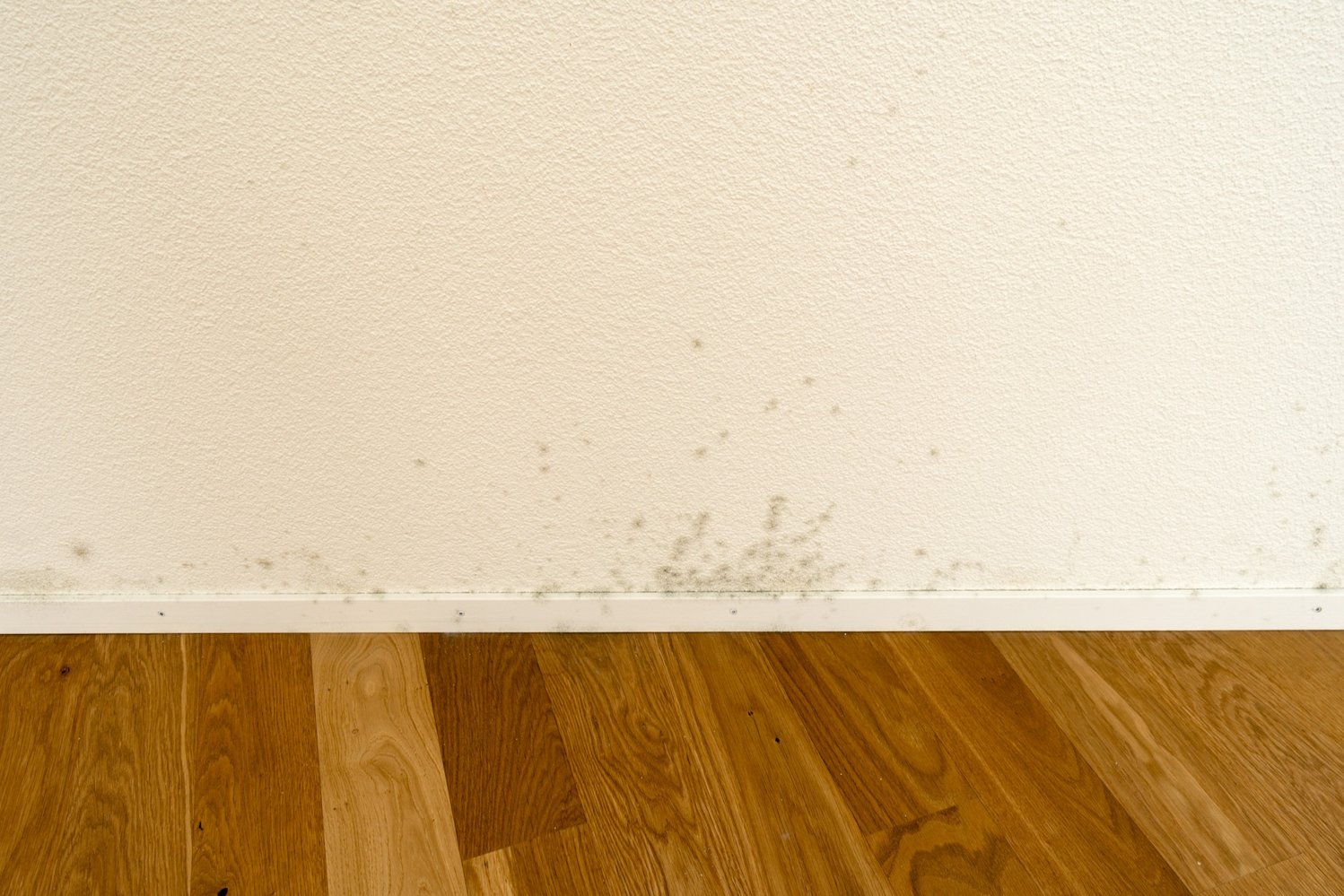 Mold Remeidation Hina Environmental Columbus, Ohio