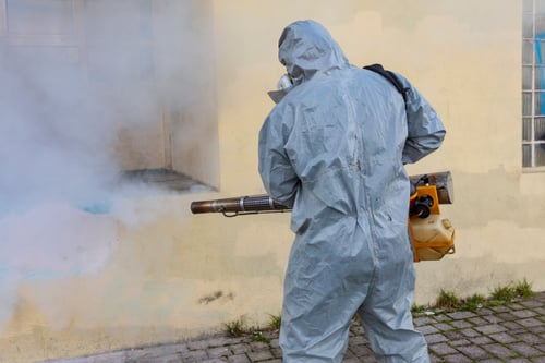 how-effective-is-fogging-for-mold-remediation-hina