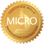 Certified Mold Remediation Constractor
