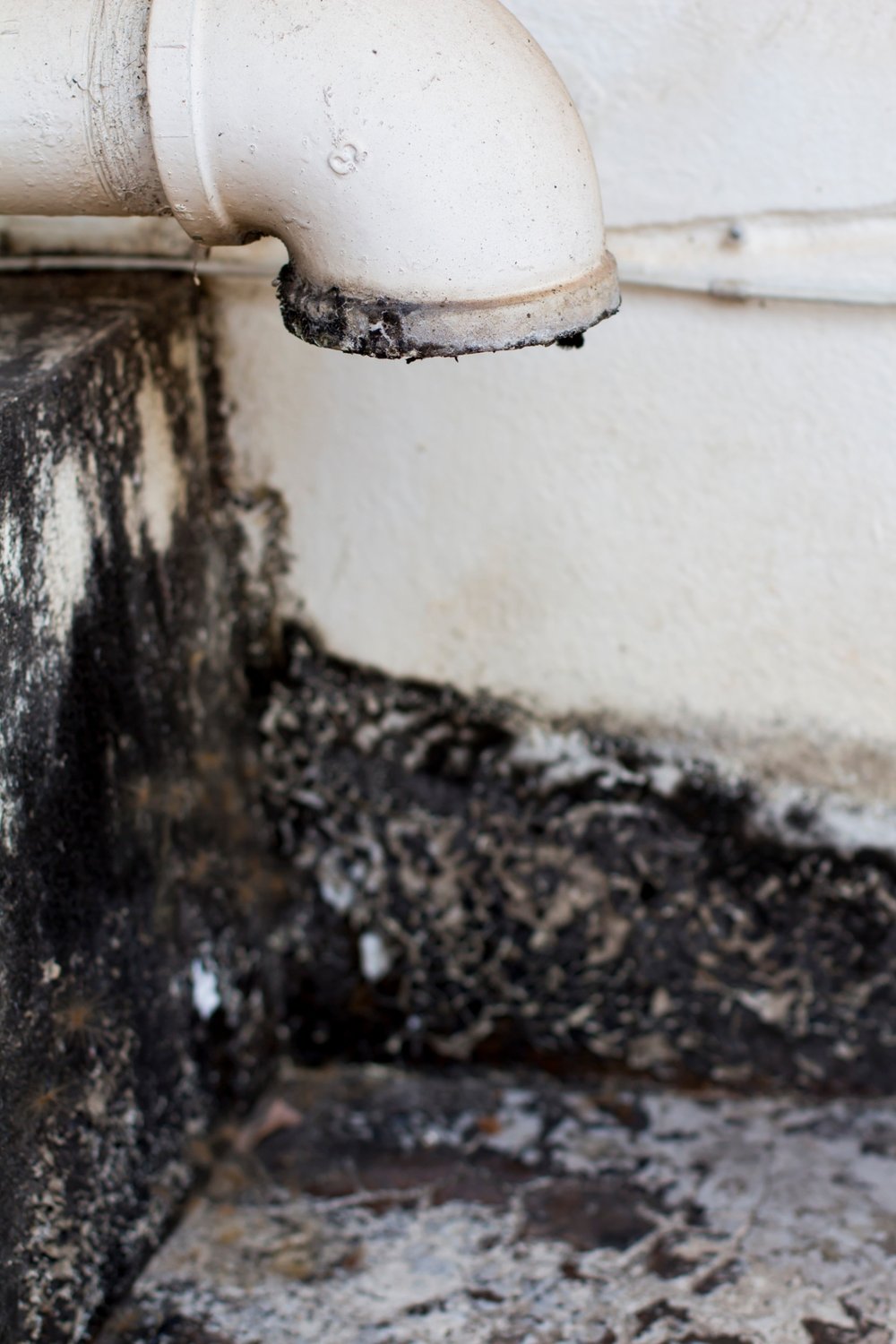 Mold Remeidation | Hina Environmental | Columbus, Ohio