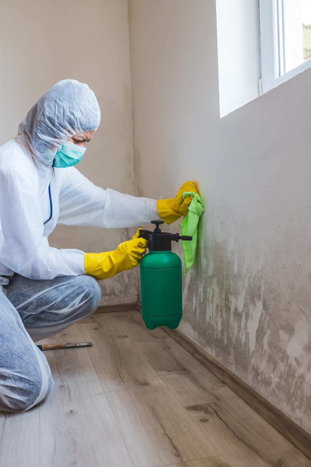 Asbestos And Lead-based Paint Abatement And Mold Remediation Services ...